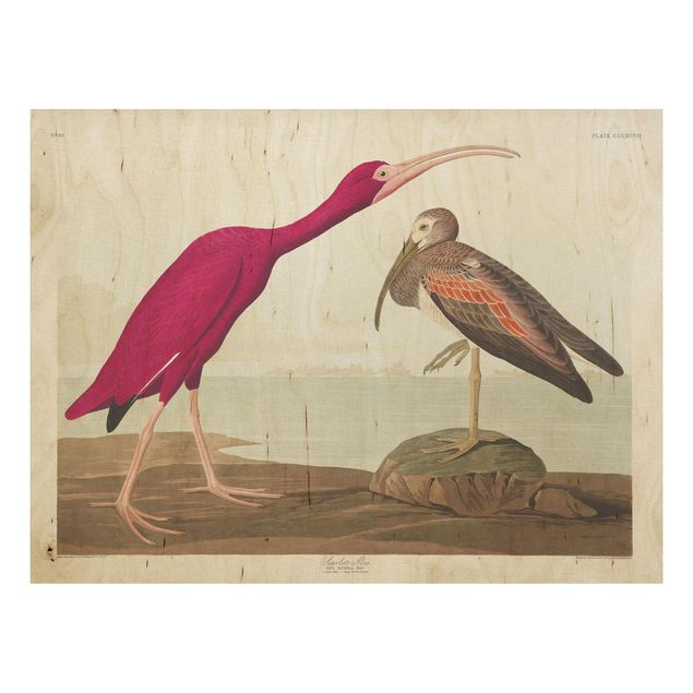 Tableaux en bois avec paysage Tableau Vintage Ibis rouge