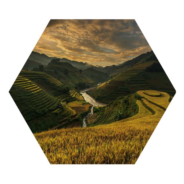 Hexagone en bois - Rice Plantations In Vietnam