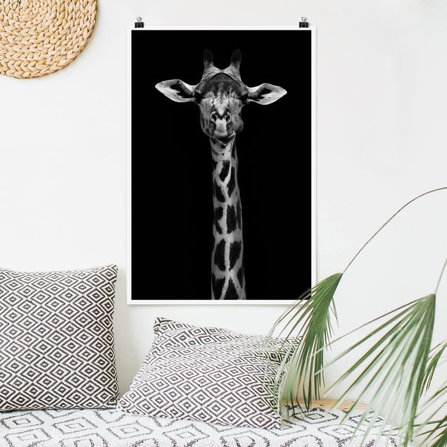Décorations cuisine Portrait de girafe sombre