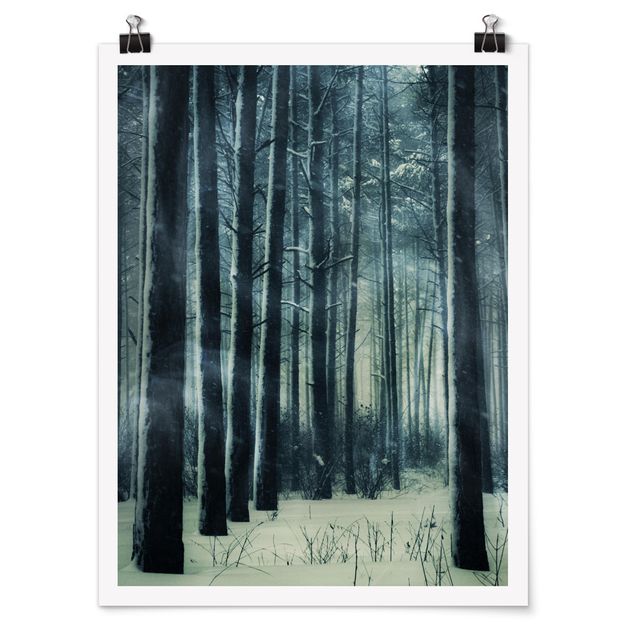 Tableaux modernes Forêt mystique d'hiver