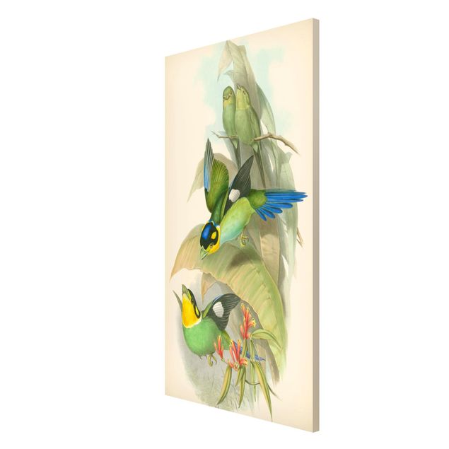 tableaux floraux Illustration Vintage Oiseaux Tropicaux