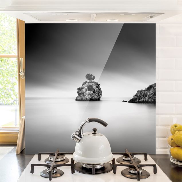 Déco murale cuisine Île rocheuse dans la mer Noir et blanc