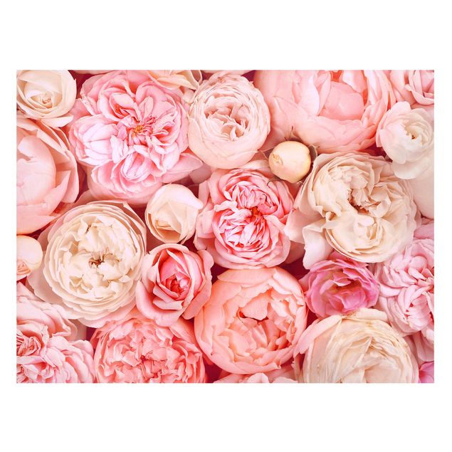 Tableaux magnétiques avec fleurs Roses Coral Shabby en rose
