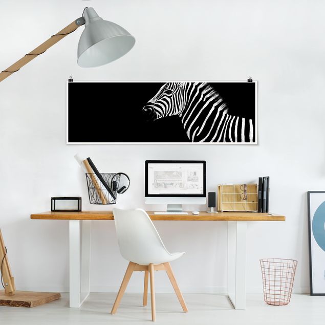 Posters en noir et blanc Zebra Safari Art