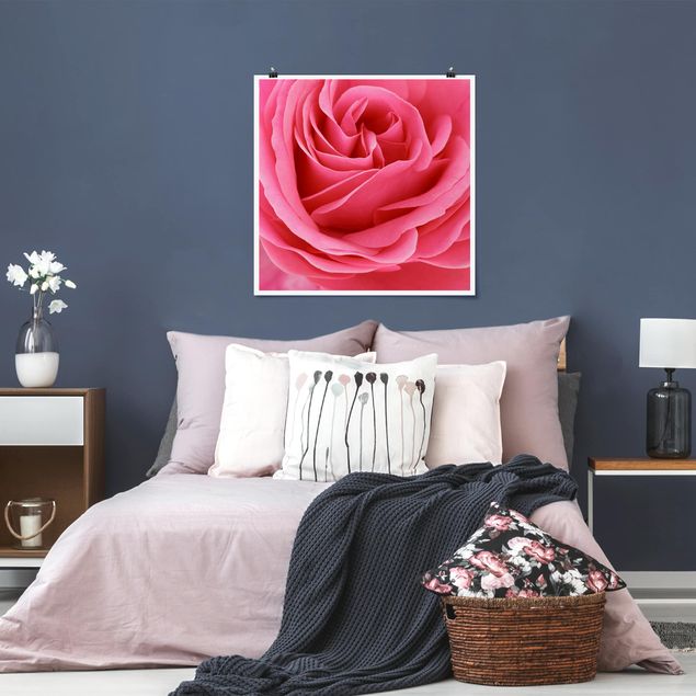 Déco murale cuisine Lustful Pink Rose