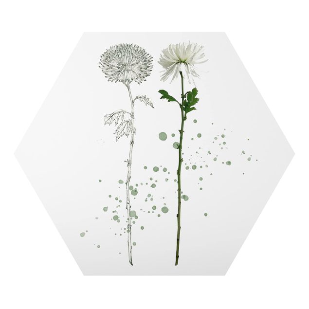 Tableau floral Botanique à l'aquarelle - Pissenlit
