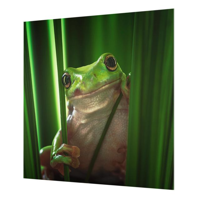 Fond de hotte - Happy Frog
