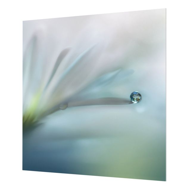 Fonds de hotte - Dewdrops On White Blossom - Carré 1:1