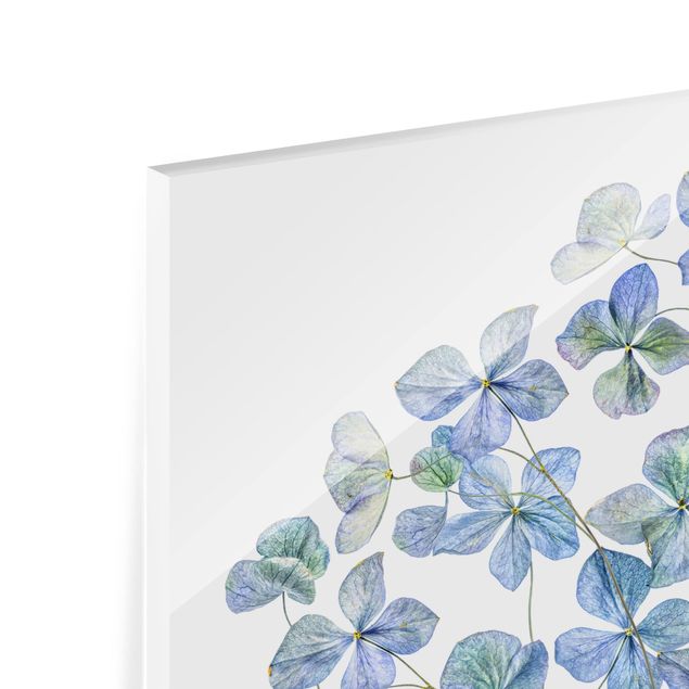 Fond de hotte - Blue Hydrangea Flowers