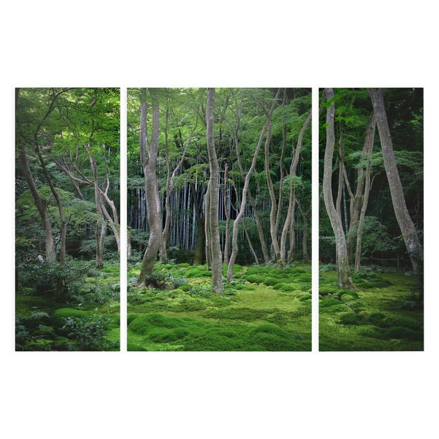 Tableaux nature Forêt japonaise