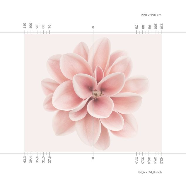 Revêtement mural de douche - Dahlia Pink Pastel Flower Centered