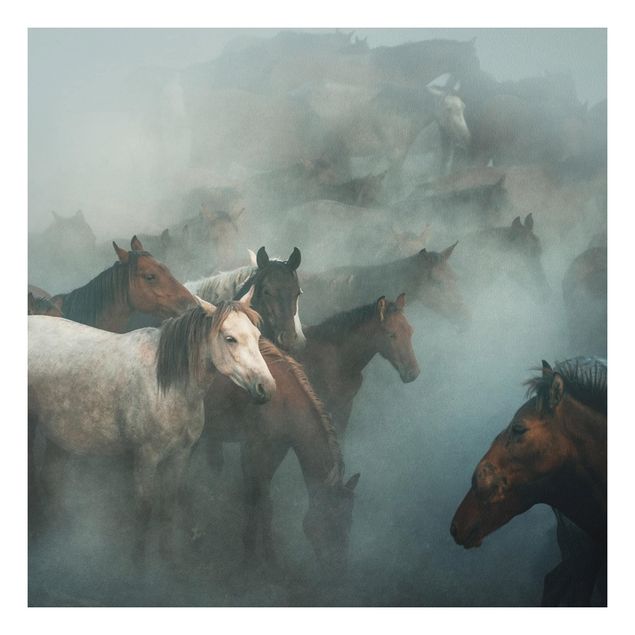 Tableau chevaux Wild Horses