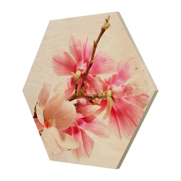 Hexagone en bois - Magnolia Blossoms