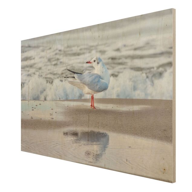Tableaux en bois avec plage & mer Die Kleine Seenadel© Livre d'enfant Expédition La petite aiguille de mer