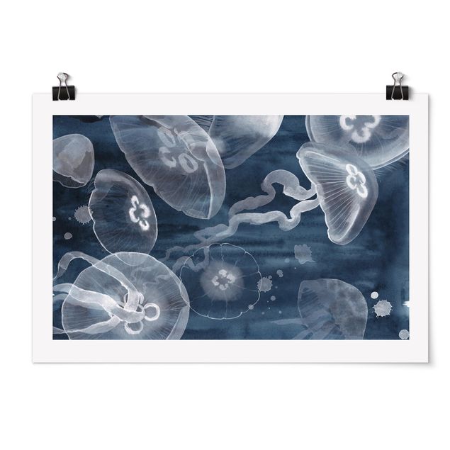 Posters animaux Moon Jellyfish I