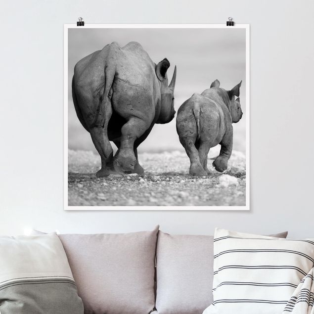 Posters en noir et blanc Rhinocéros errants II