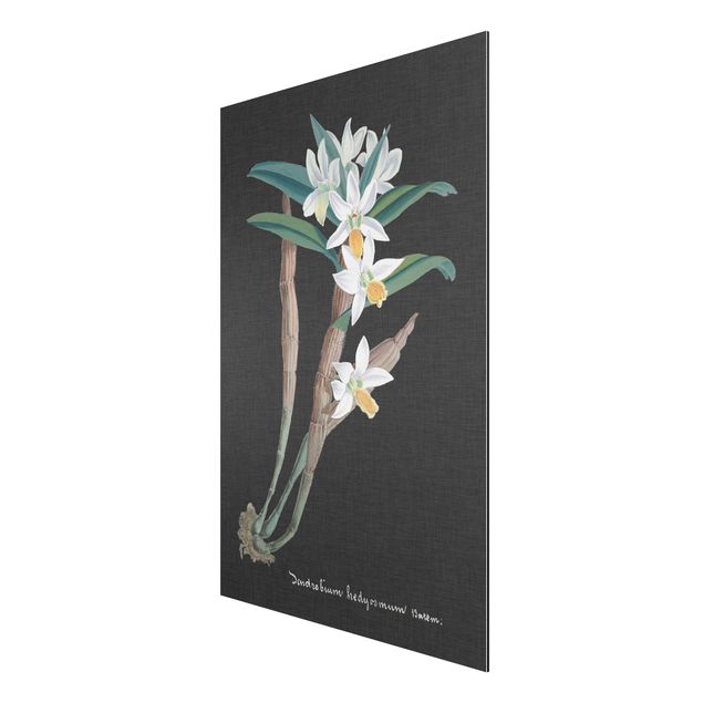 tableaux floraux Orchidée blanche sur lin I