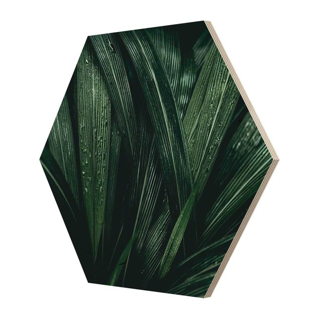 Hexagone en bois - Green Palm Leaves