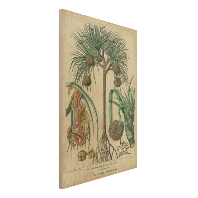 Décorations cuisine Tableau Vintage Palmiers exotiques I
