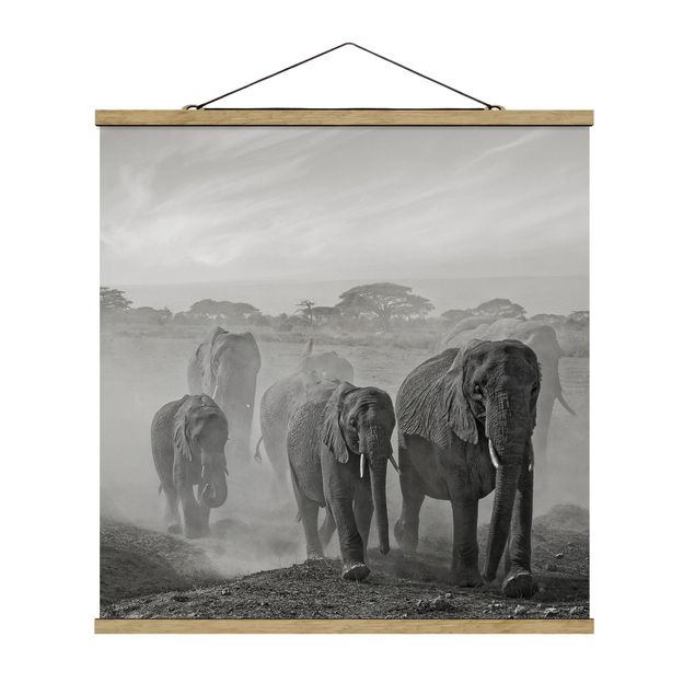 Tableaux modernes Troupeau d'éléphants