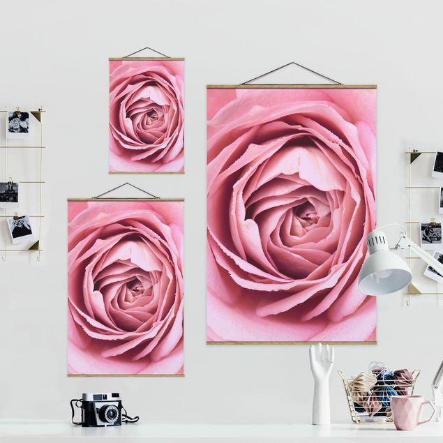 Tableaux muraux Fleur de Rose rose