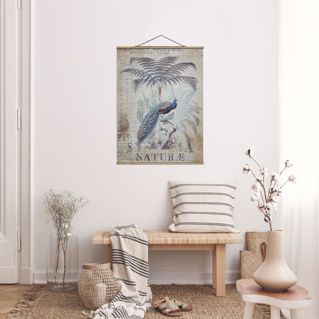Tableaux moderne Collage Shabby Chic - Paon