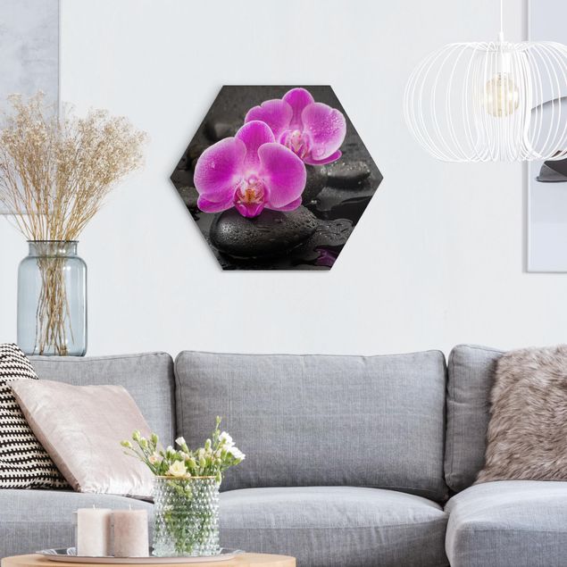 Tableaux moderne Fleur Orchidée Rose sur Pierres avec Gouttes