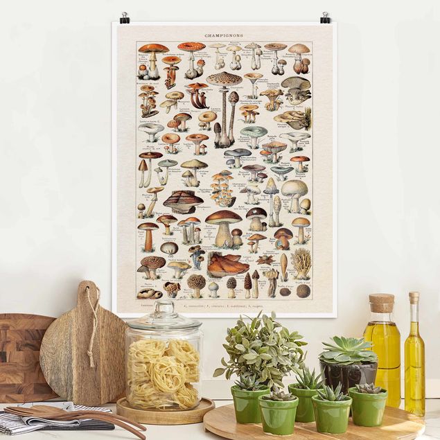 Déco mur cuisine Tableau Vintage champignons