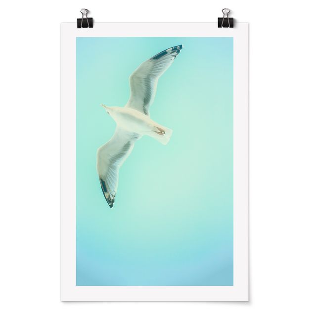 Poster animaux Ciel Bleu avec Mouette