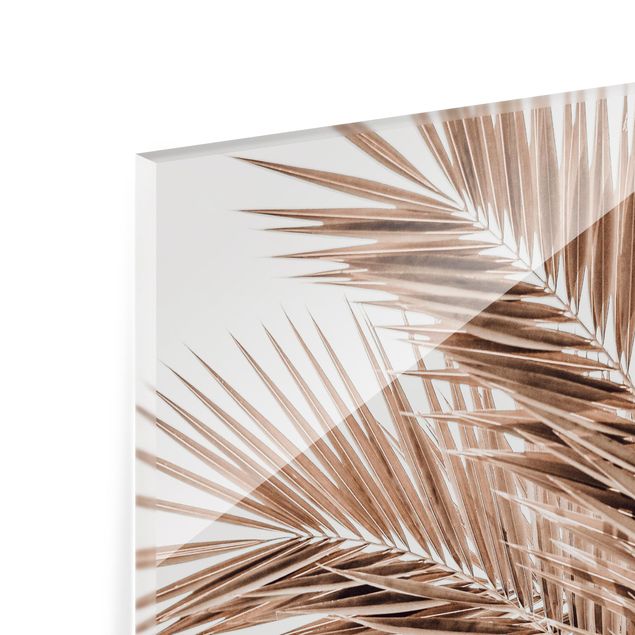 Fonds de hotte - Bronze Coloured Palm Fronds - Carré 1:1