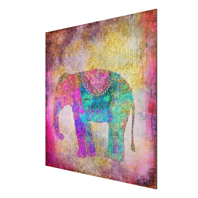 Tableaux modernes Collage coloré - Éléphant indien