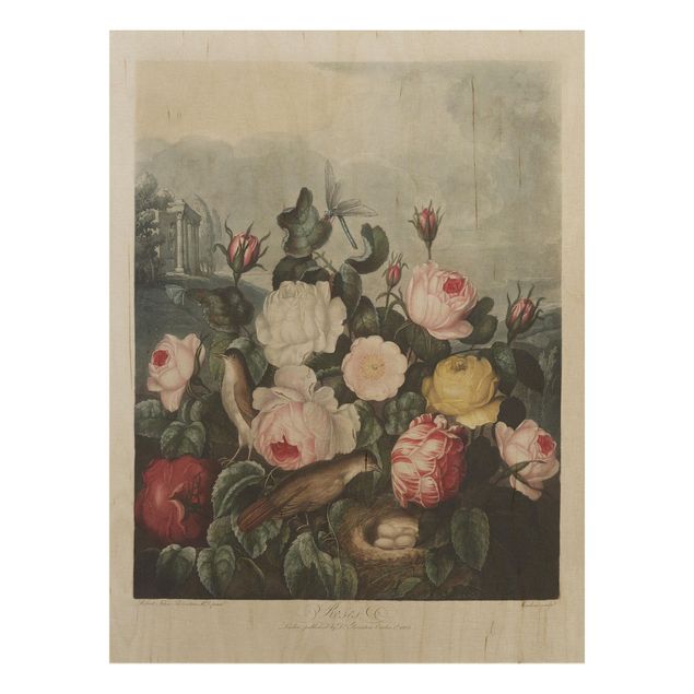 Tableaux en bois avec fleurs Illustration botanique vintage Rose