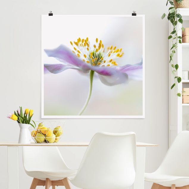 Tableau moderne Fleur de vent en blanc