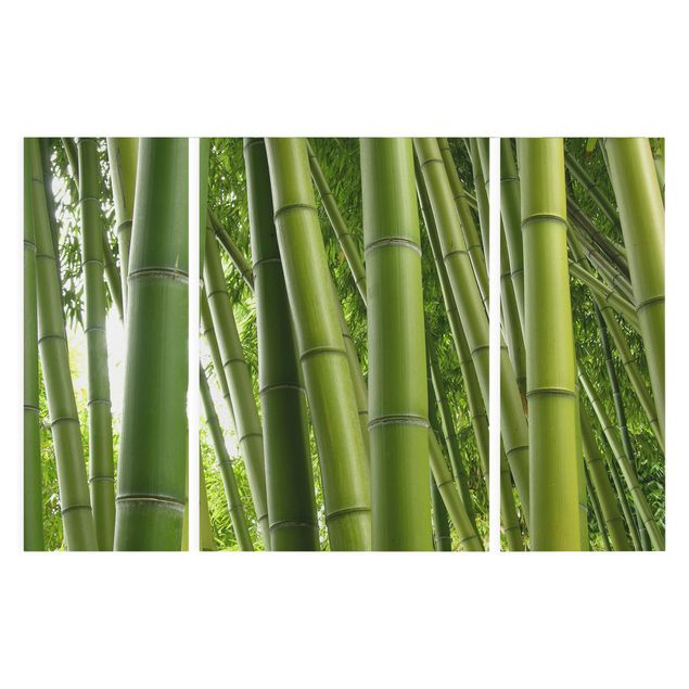 Tableau zen bambou Bamboo Trees
