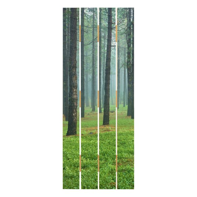 Tableaux muraux Forêt profonde avec des pins sur La Palma