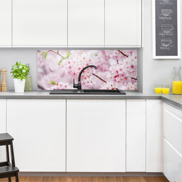 Fonds de hotte avec fleurs Japanese Cherry Blossoms