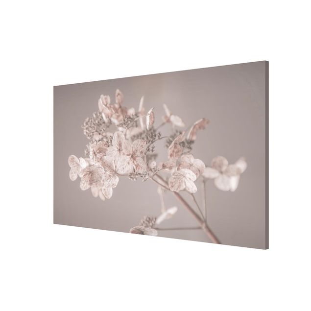 Tableau moderne Delicate White Hydrangea