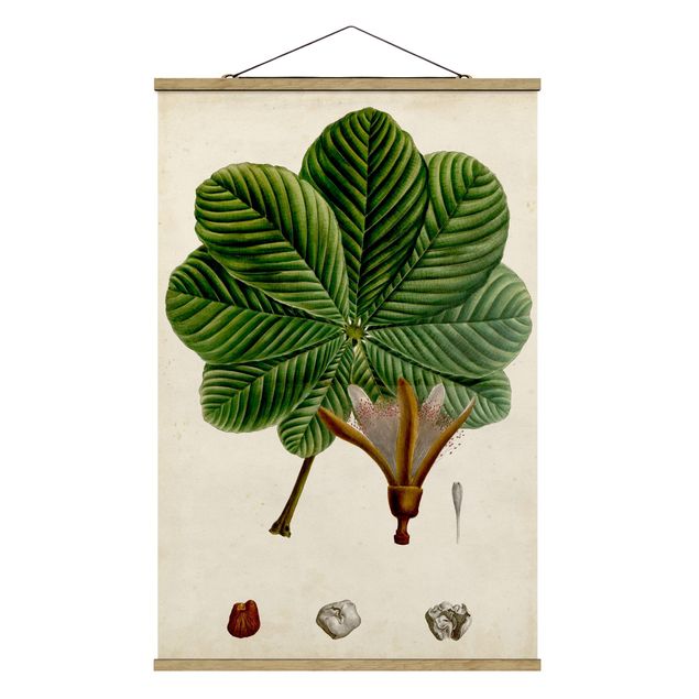Tableau floral Poster à feuilles caduques II