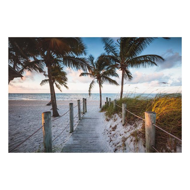 Fond de hotte - Palm Trees At Boardwalk To The Ocean - Format paysage 3:2