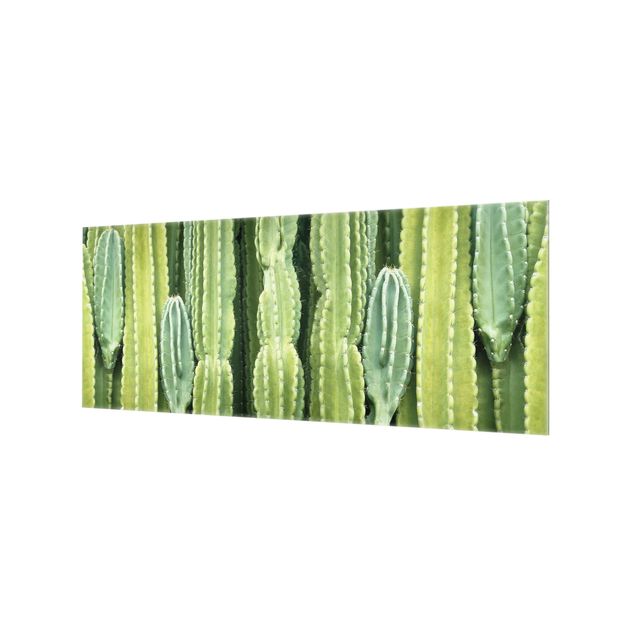 Fond de hotte - Cactus Wall