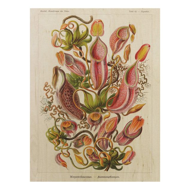 Tableaux en bois avec fleurs Tableau Vintage Plantes Illustration Rouge Vert