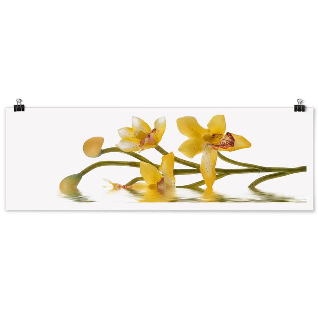 Tableau fleurs Eaux d'orchidées safranées