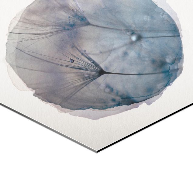 Tableau hexagonal Aquarelles - Plumes bleues sous la pluie