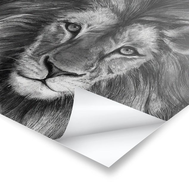 Tableaux de Laura Graves Illustration Lion Monochrome Peinture
