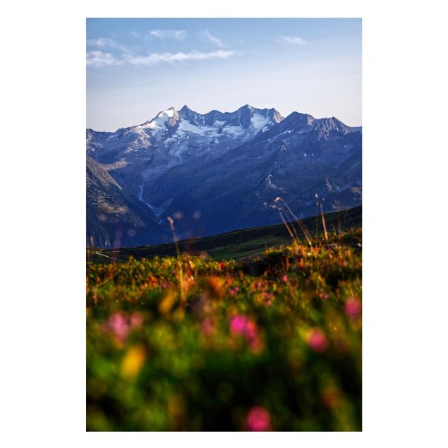 Tableaux paysage Champ fleuri dans les montagnes
