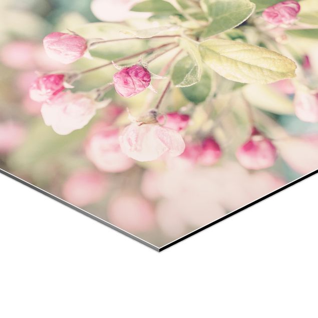 Tableau décoration Apple Blossom Bokeh Light Pink