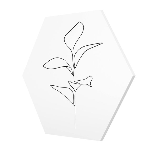 Tableaux noir et blanc Line Art Feuilles de plantes Noir et Blanc