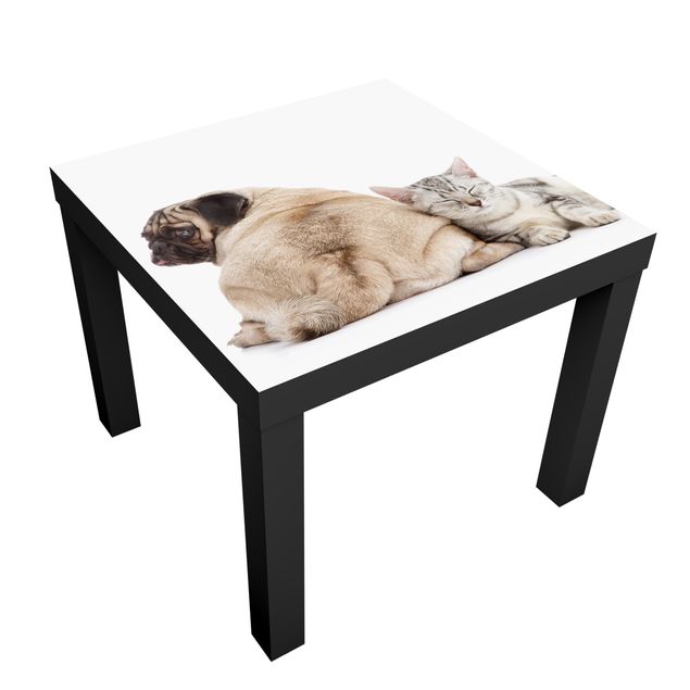 Papier adhésif pour meuble Table basse carlin et chatons