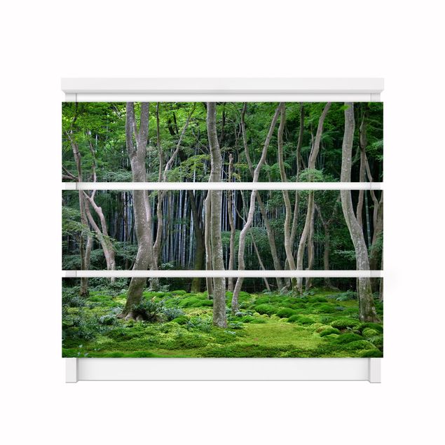 Films adhésifs verts Forêt japonaise