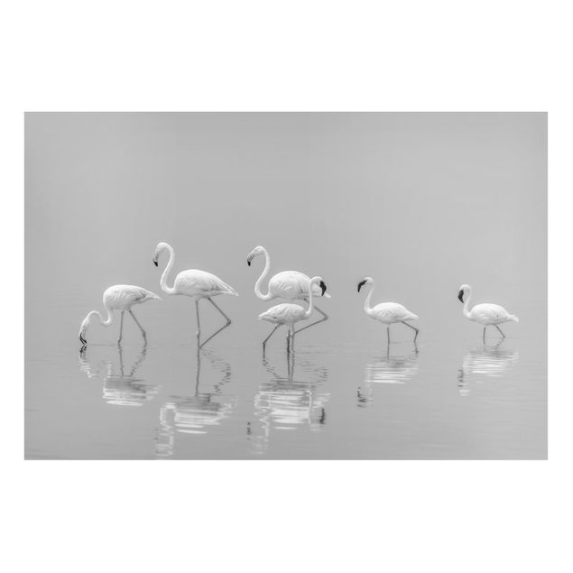 Tableaux magnétiques avec fleurs Elegant Flamingos